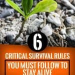 6 Critical Survival Rules You Must Follow to Stay Alive