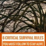 6 Critical Survival Rules You Must Follow to Stay Alive