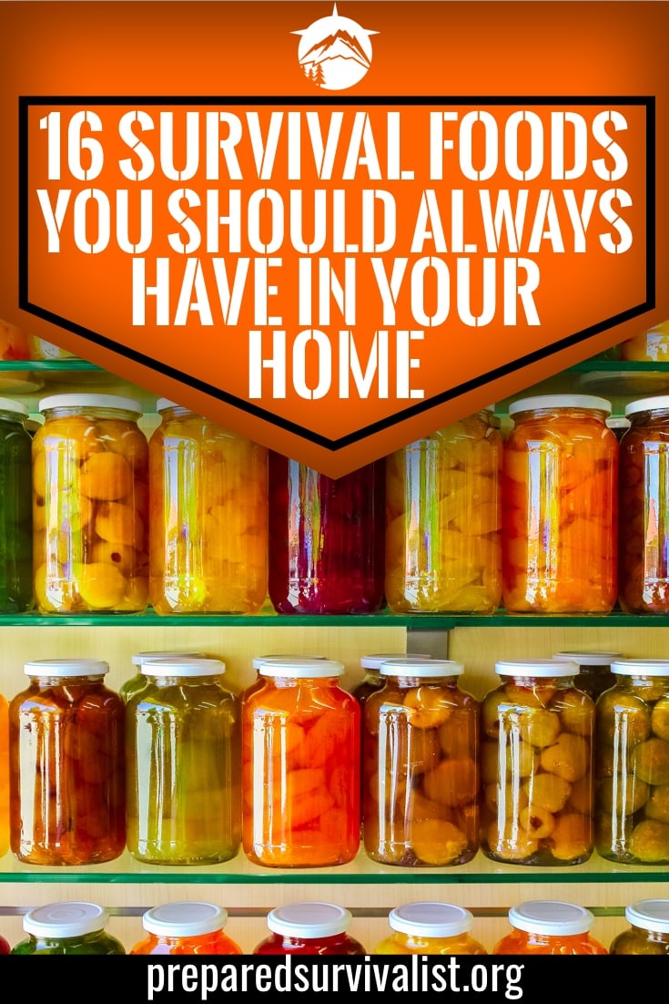 16 Survival Foods You Should Always Have In Your Home