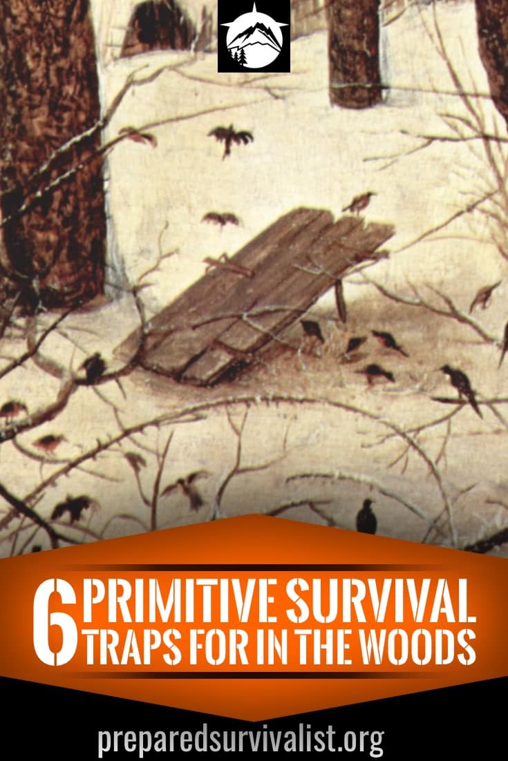 6 primitive survival traps for in the woods