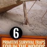 6 primitive survival traps for in the woods