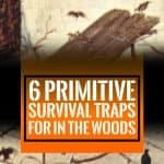 6 primitive survival traps for in the woods