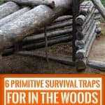 6 primitive survival traps for in the woods