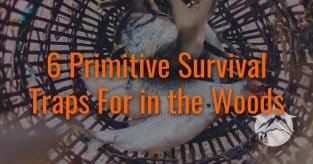 6 primitive survival traps for in the woods