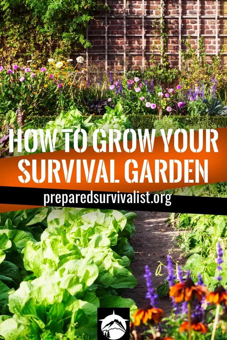 How To Grow Your Survival Garden