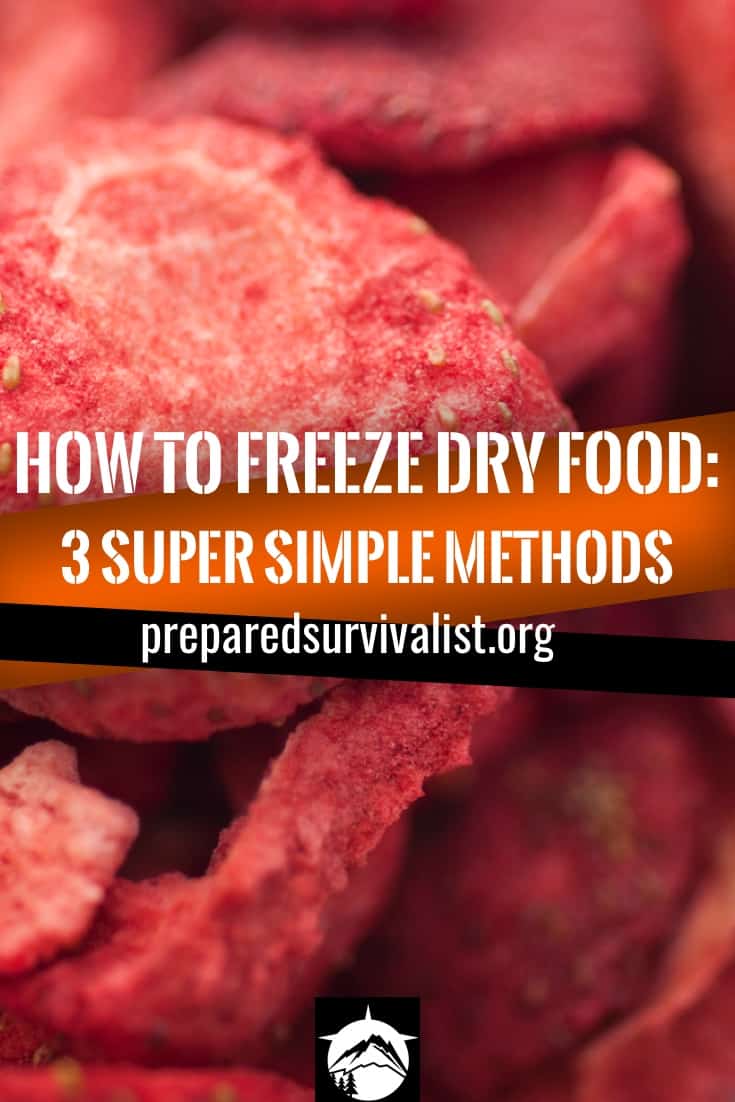How To Freeze Dry Food