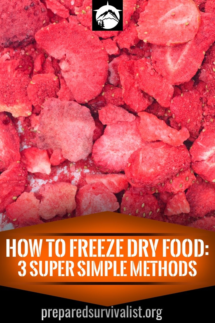 How To Freeze Dry Food