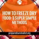 How To Freeze Dry Food